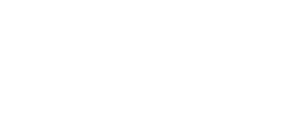 Net Politics APS